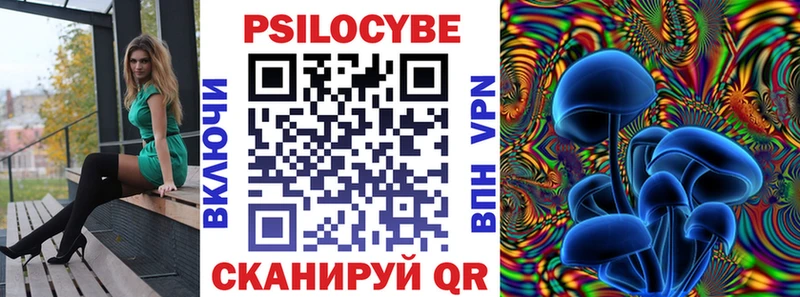 купить наркотики цена  маркетплейс состав  KRAKEN ссылки  Галлюциногенные грибы мухоморы  Заводоуковск 